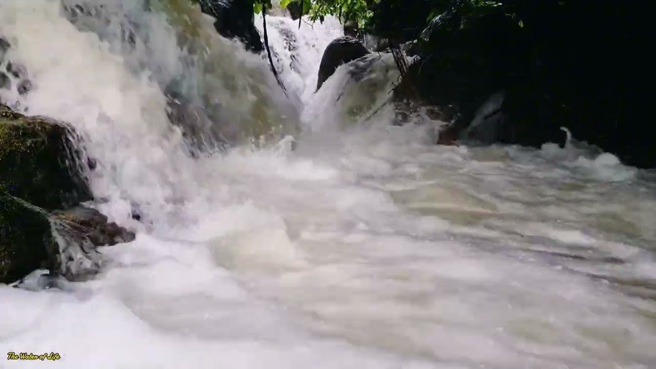 BEAUTIFUL RIVER, REFRESH YOUR BRAIN AFTER TIRED OF WORK, Enjoy Relaxing Sounds, Meditation