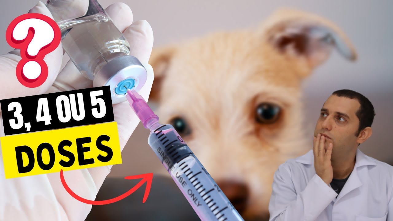 quantos doses de vacina para cachorro filhote ?