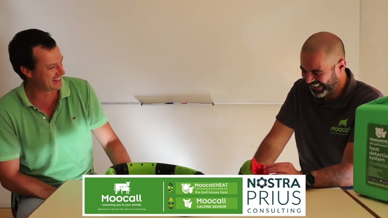 Moocall Portugal entrevista Joaquim Carvalho ESACB full 2021