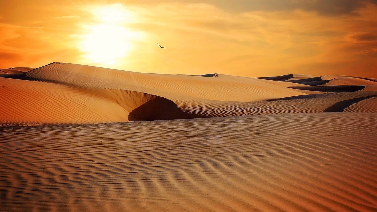 Desert Rhythms - Patrick Patrikios