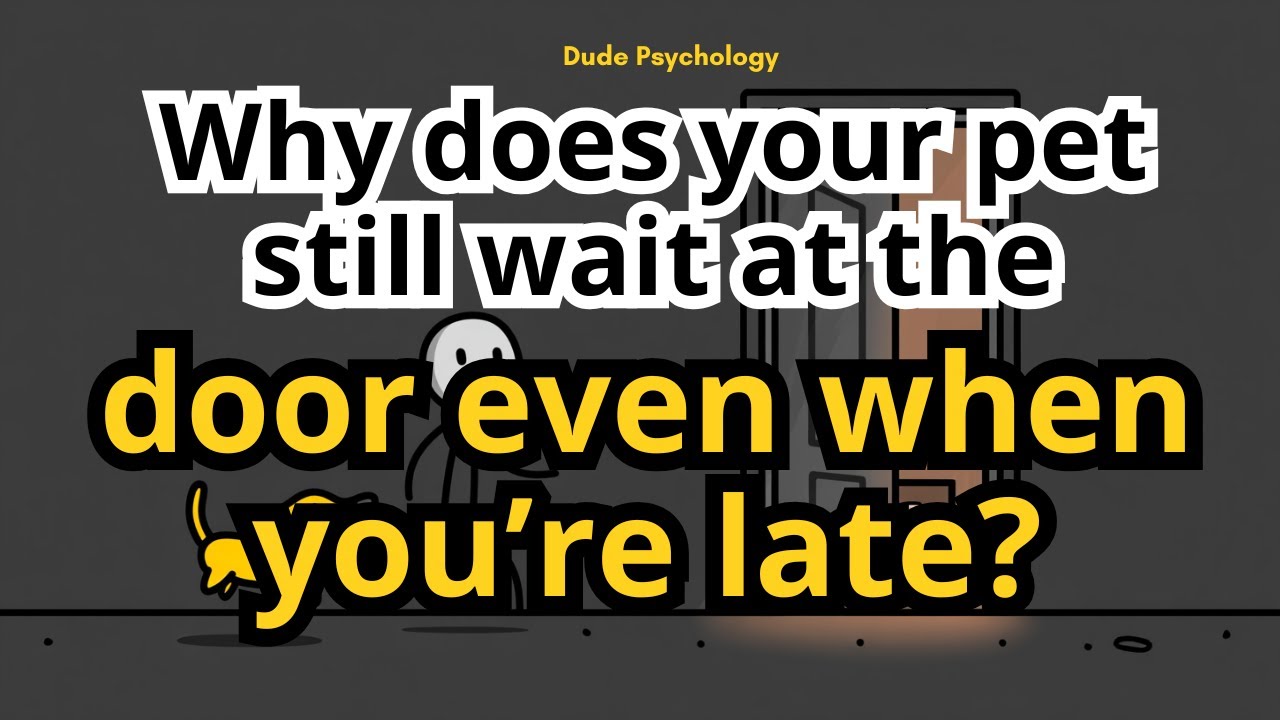 Why Do Pets Wait By The Door For You?