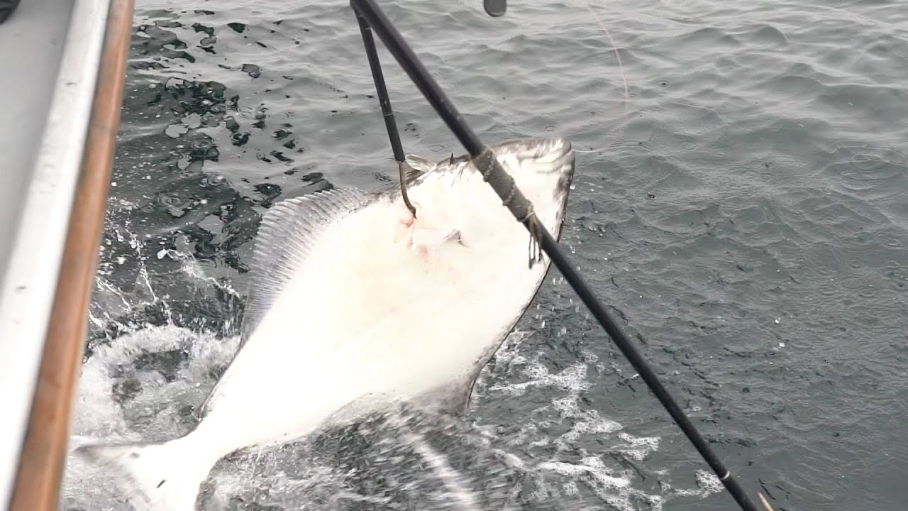 FIRST TIME HALIBUT FISHING IN SEWARD, ALASKA