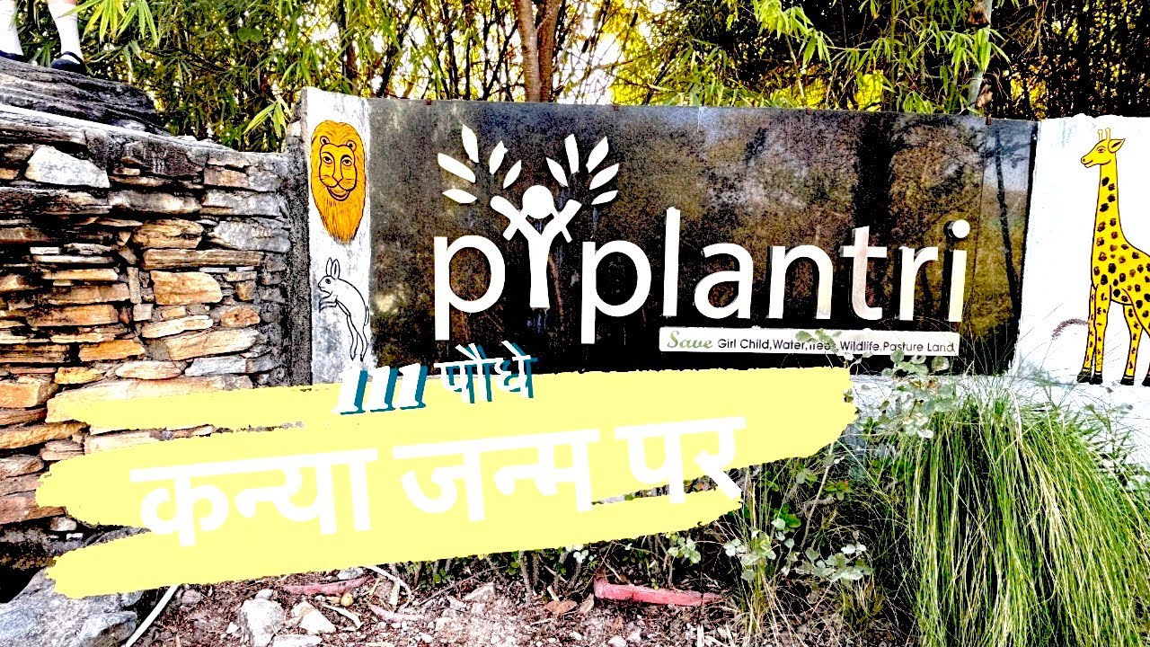 Uniq village in India cerebrating daughter’s birth and protecting the environment । Piplantri ।