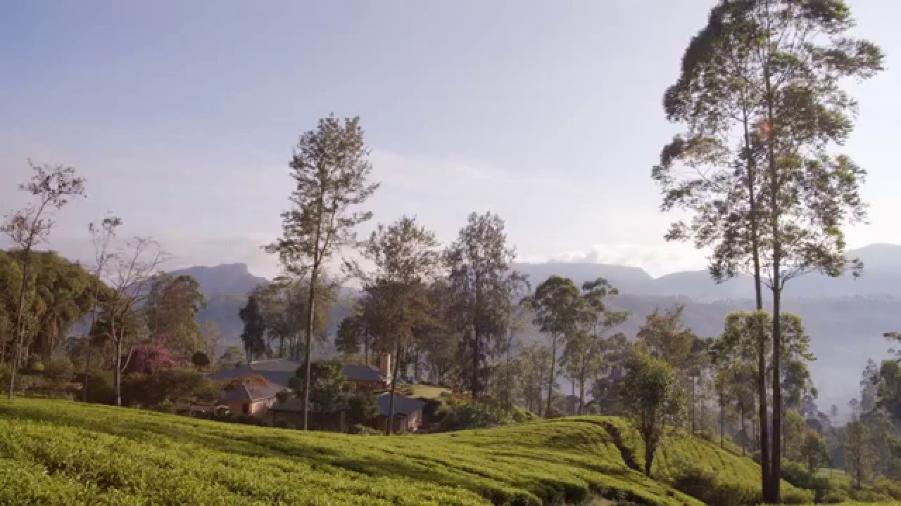 Sri Lanka In Style - Ceylon Tea Trails