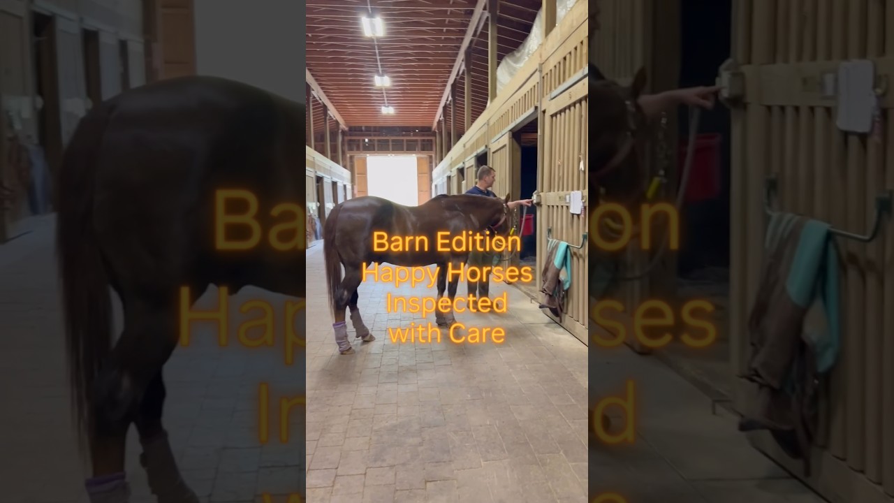 New Jersey Home Inspections | Barn Edition | Happy Horses