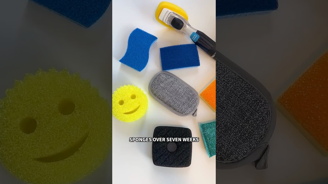 The 10 best kitchen sponges