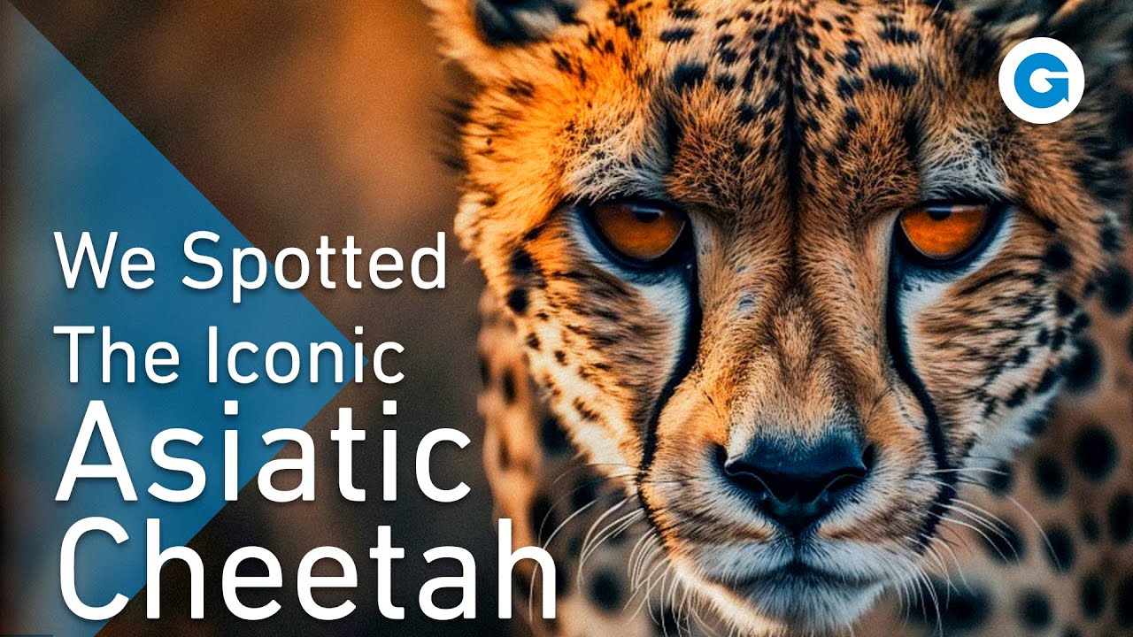 Wild Iran: Capturing the Untamed | Extra Long Documentary