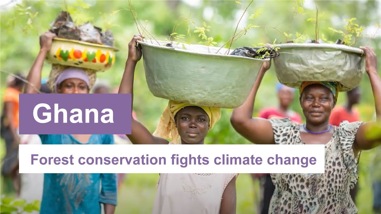 Ghana: Forest conservation fights climate change