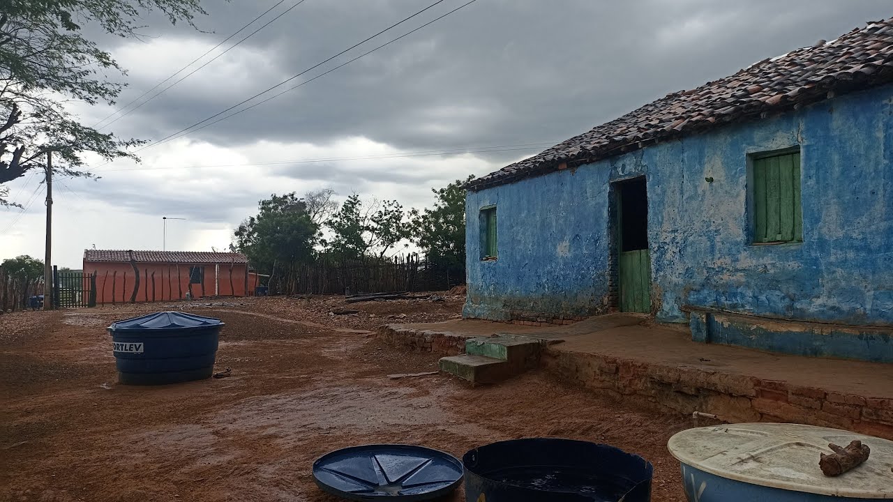 Sítio Mamoeiro Verdejante PE/18 de fevereiro de 2026