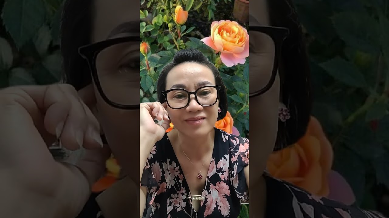 Đôi lời gởi anh chị NS LT,CT.