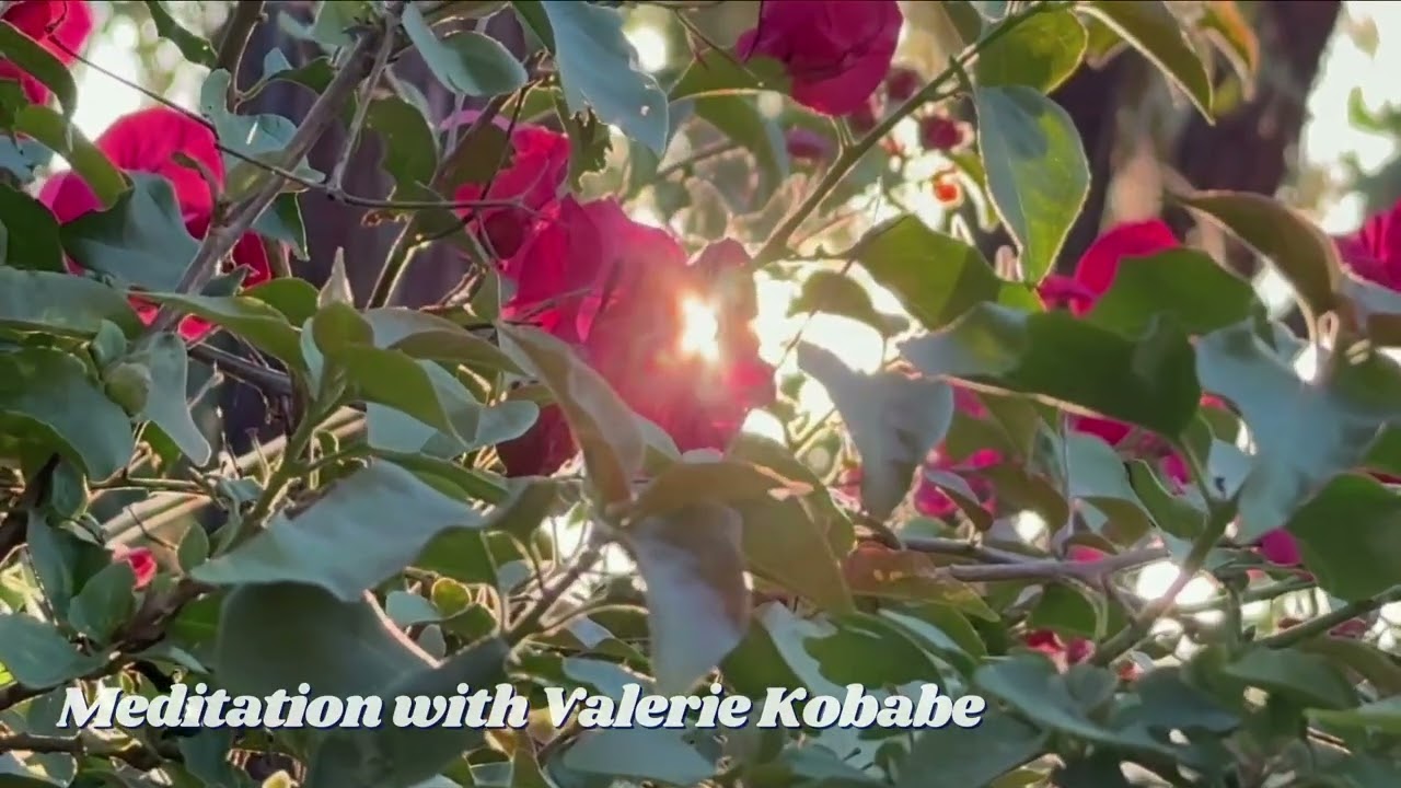 6 Minute Guided Meditation for A Meditation on Inner Light & Divine Wisdom  - Valarie Kobabe