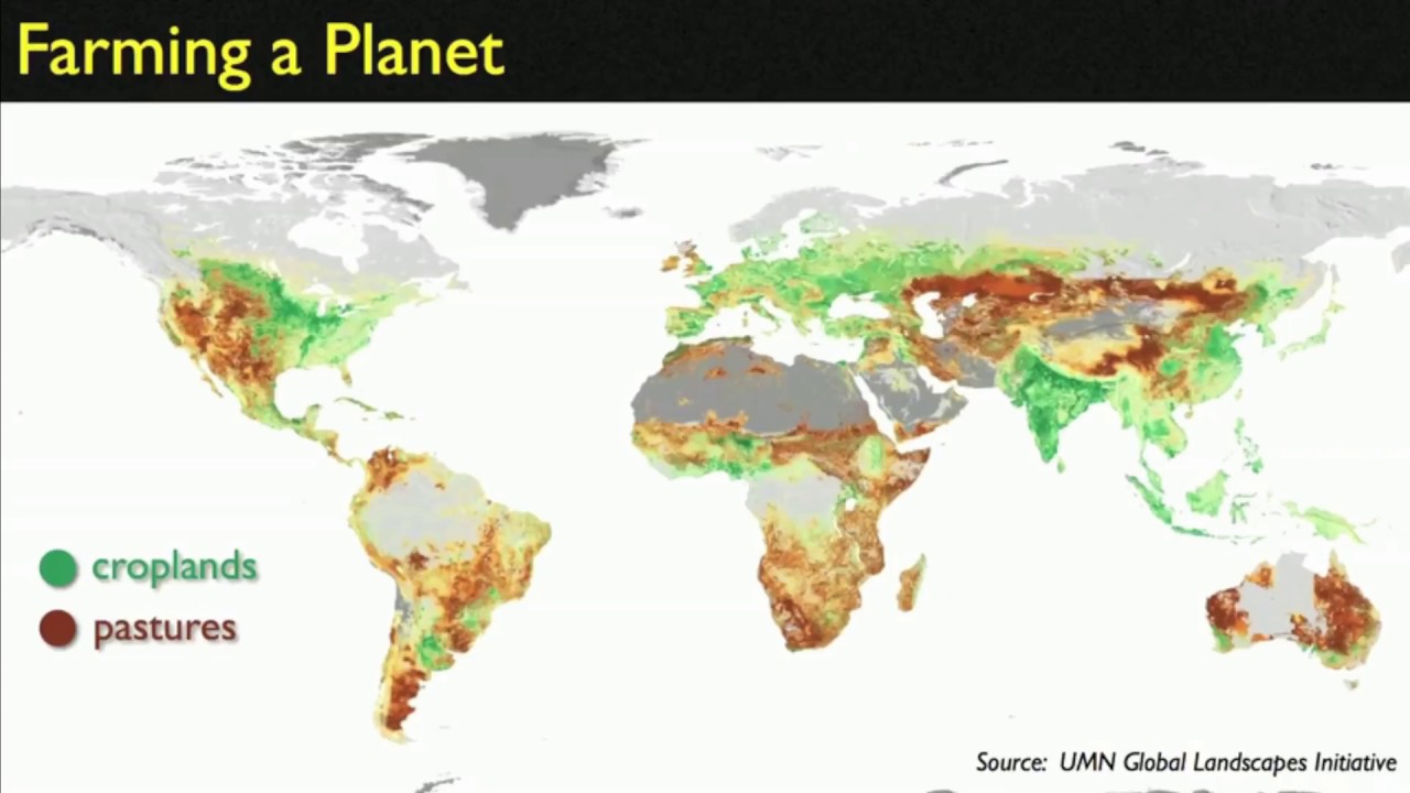 2030- SDG 15- Life on Land- Ted talks