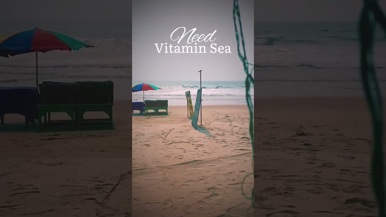 Need Vitamin Sea 