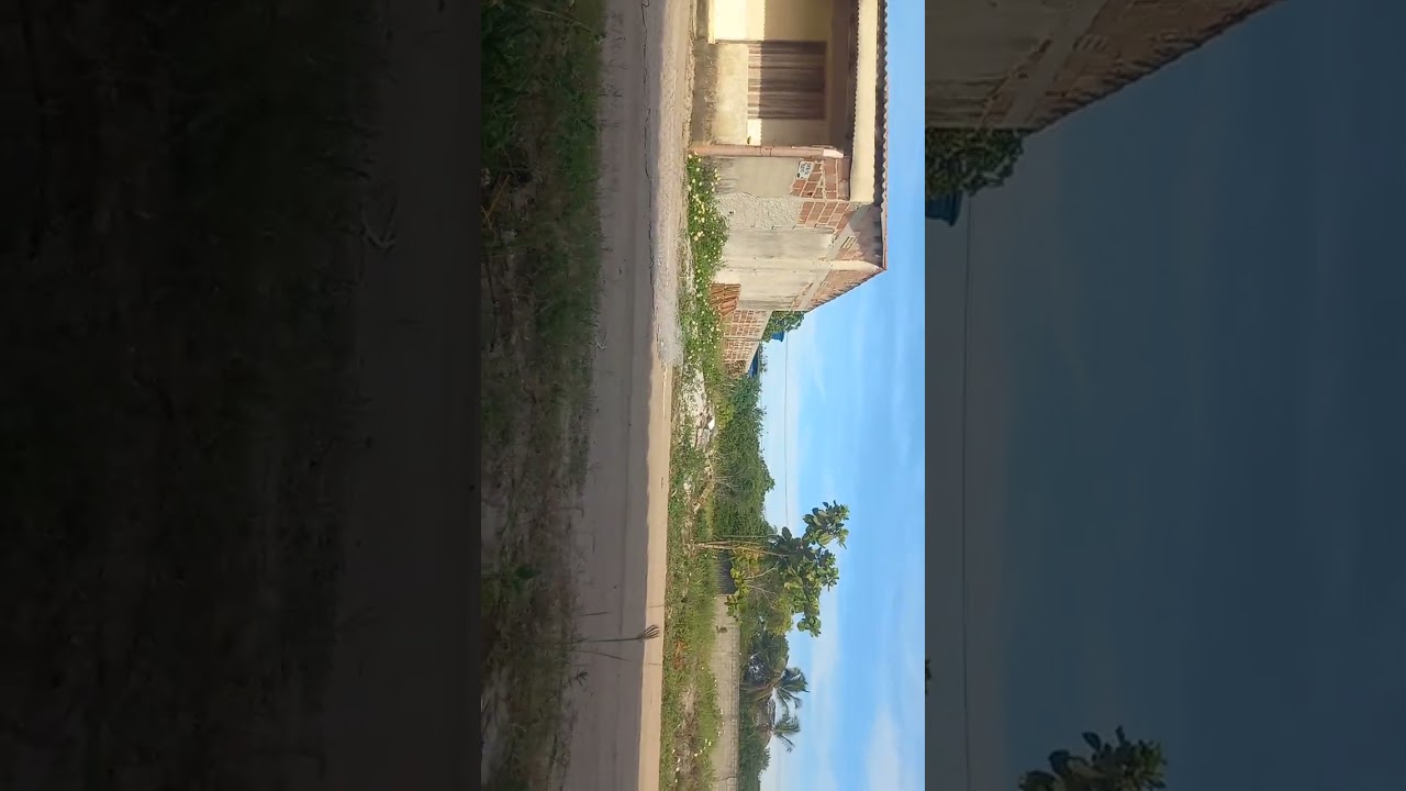 Tarrafa fio 0.80 Malha 10 á Mais THOP DA COLEÇÃO, ESSA PEGA SÓ OS Robalos  Brutos #tarrafa #viraliza