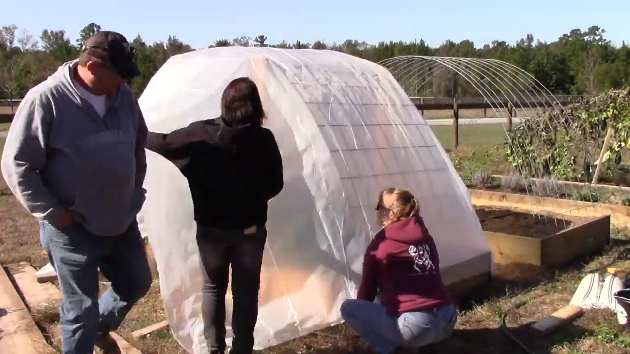Emergency greenhouse