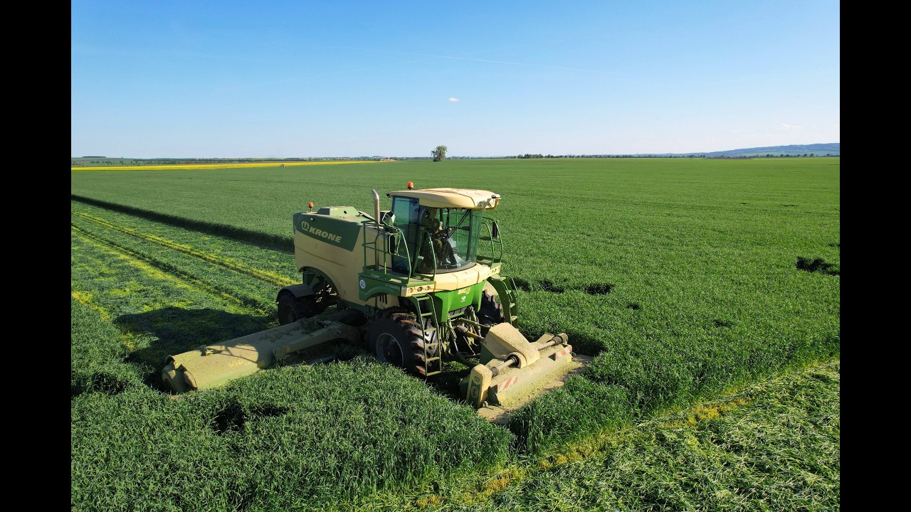 KRONE Big M 450 | sklizeň žita na senáž | ZD Unčovice | 2025