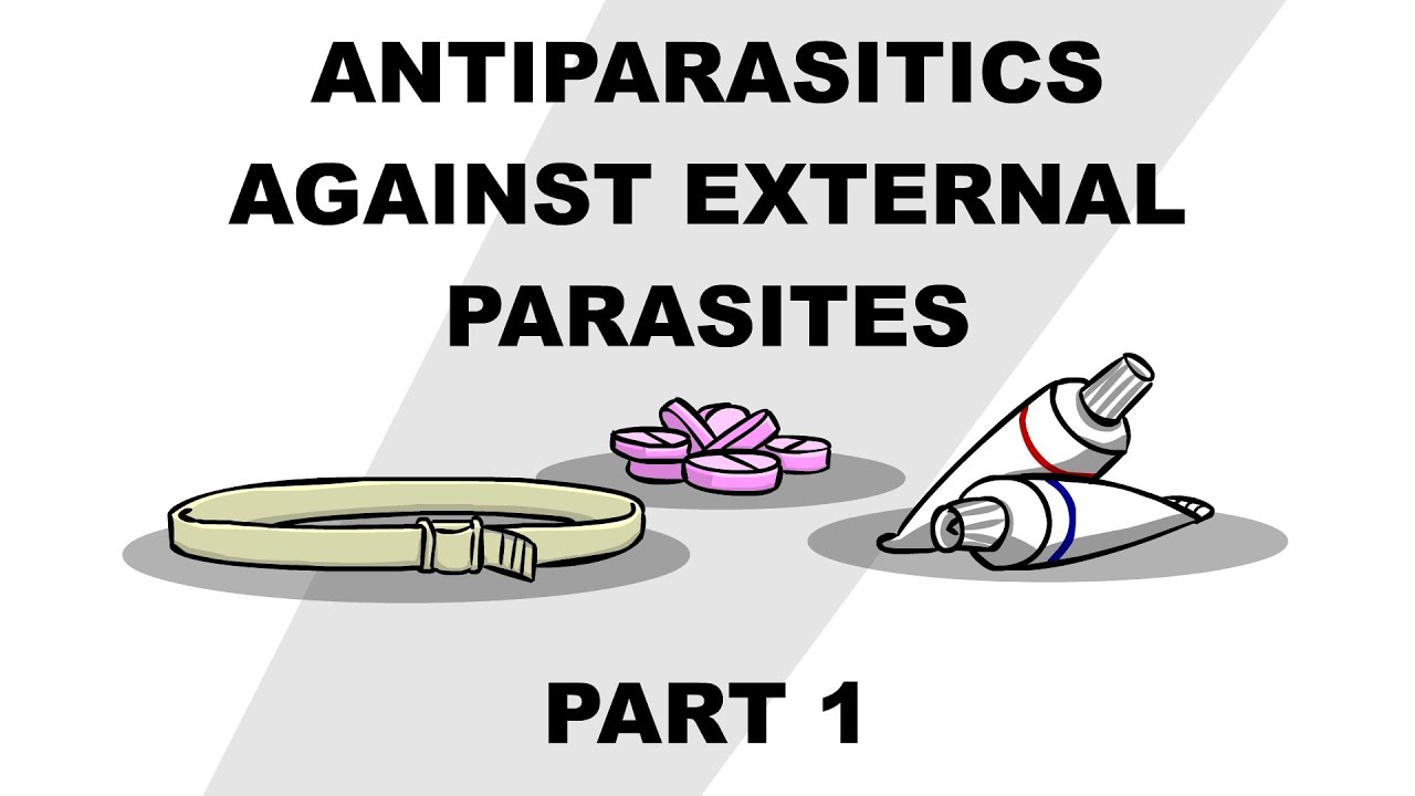 Antiparasitics Against External Parasites - Plain and Simple (Part 1)