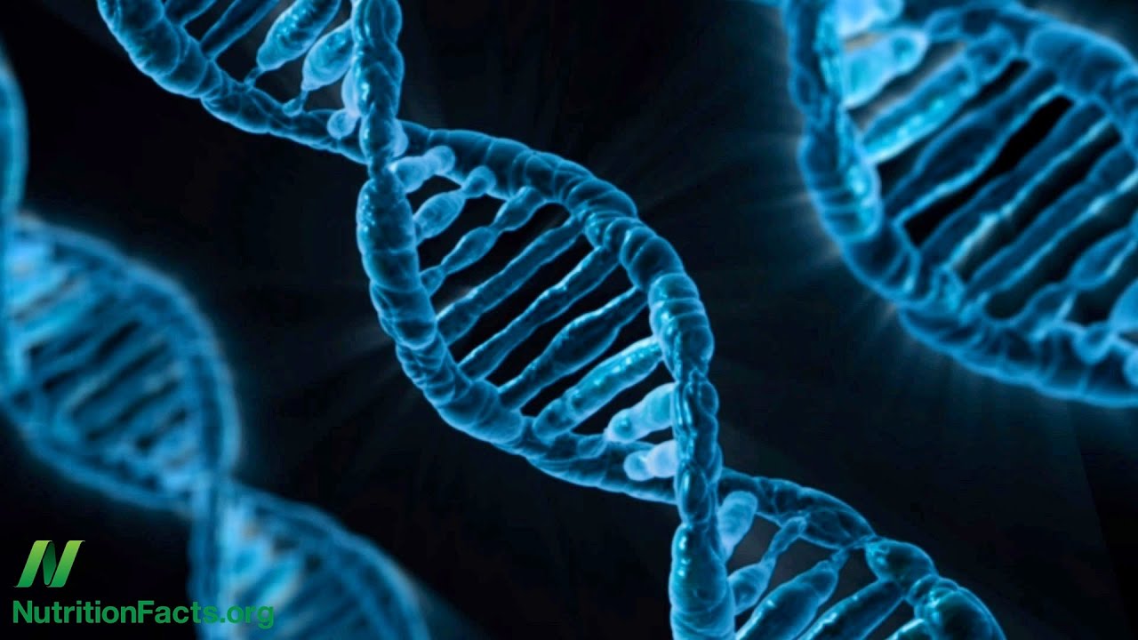The Alzheimer&rsquo;s Gene: Controlling ApoE