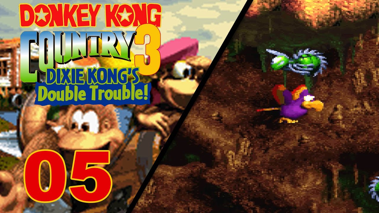 Donkey Kong Country 3  | #05 | Quawks the Parrot
