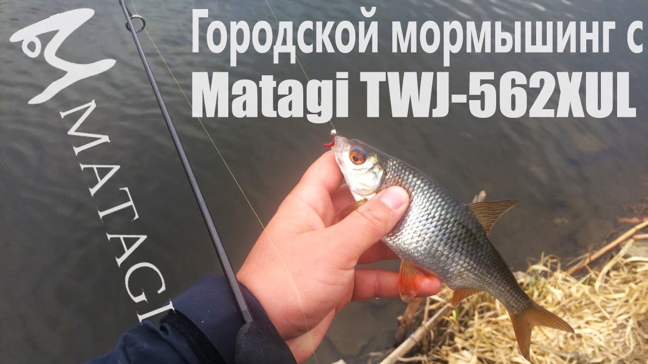 Городской мормышинг с Matagi TWJ-562XUL