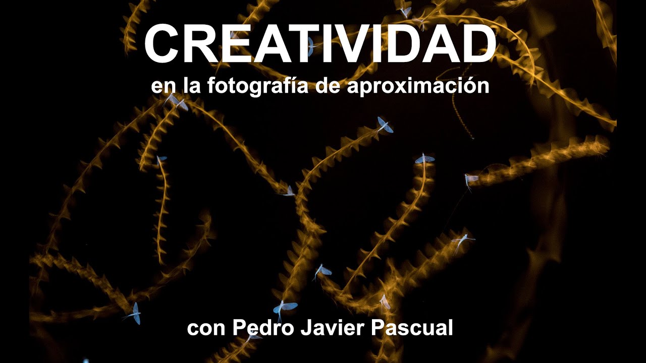 Creatividad el la fotografía de aproximación
