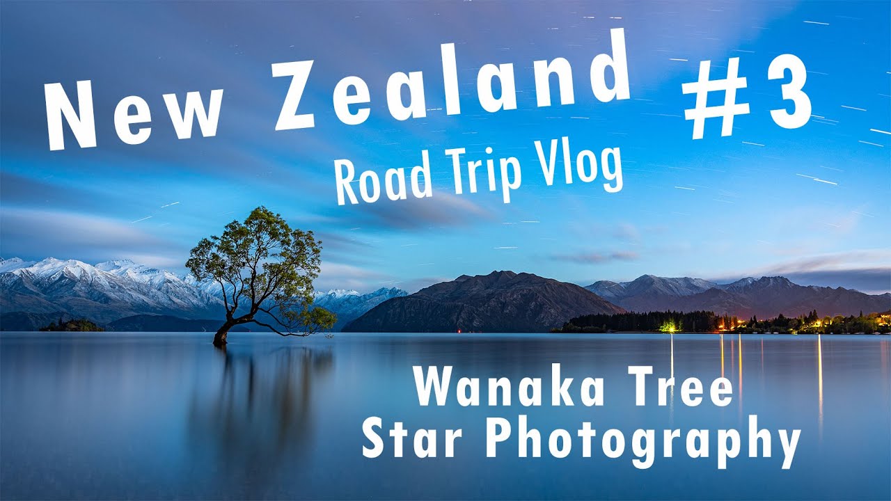 Wanaka Tree Photography - New Zealand Photography Road Trip #3