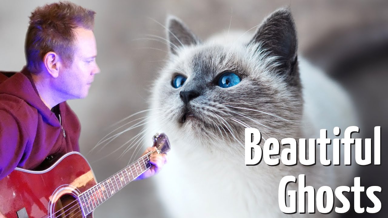 Beautiful Ghosts (Cover of Taylor Swift/From Cats) - Weekly Chording 260