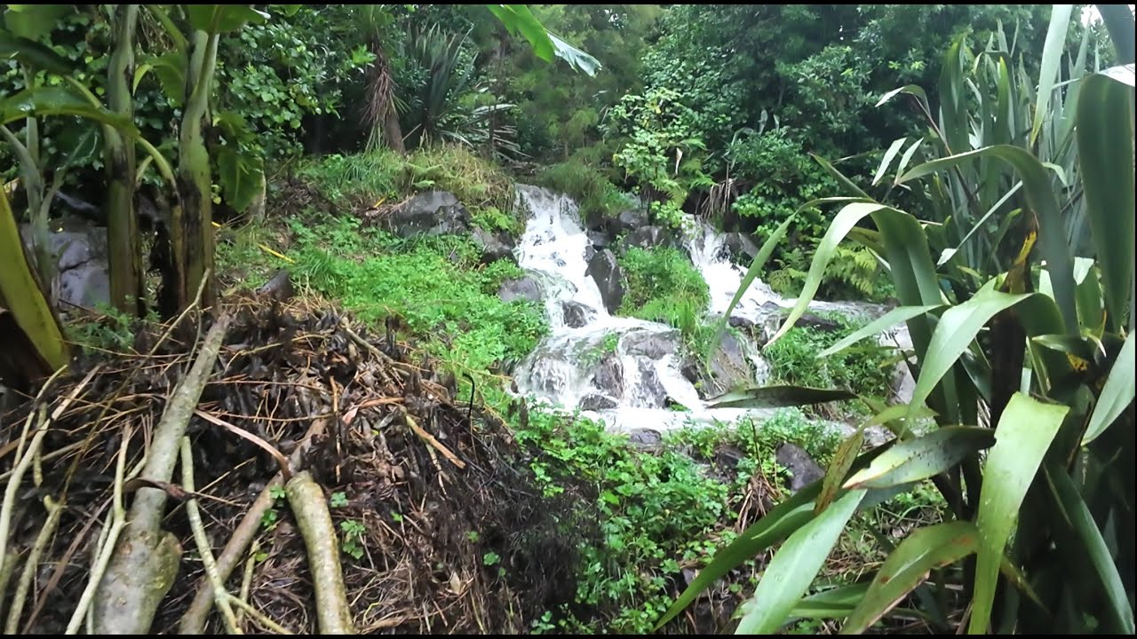 Growing Fruit Amongst Waterfalls 21 Jan 2026
