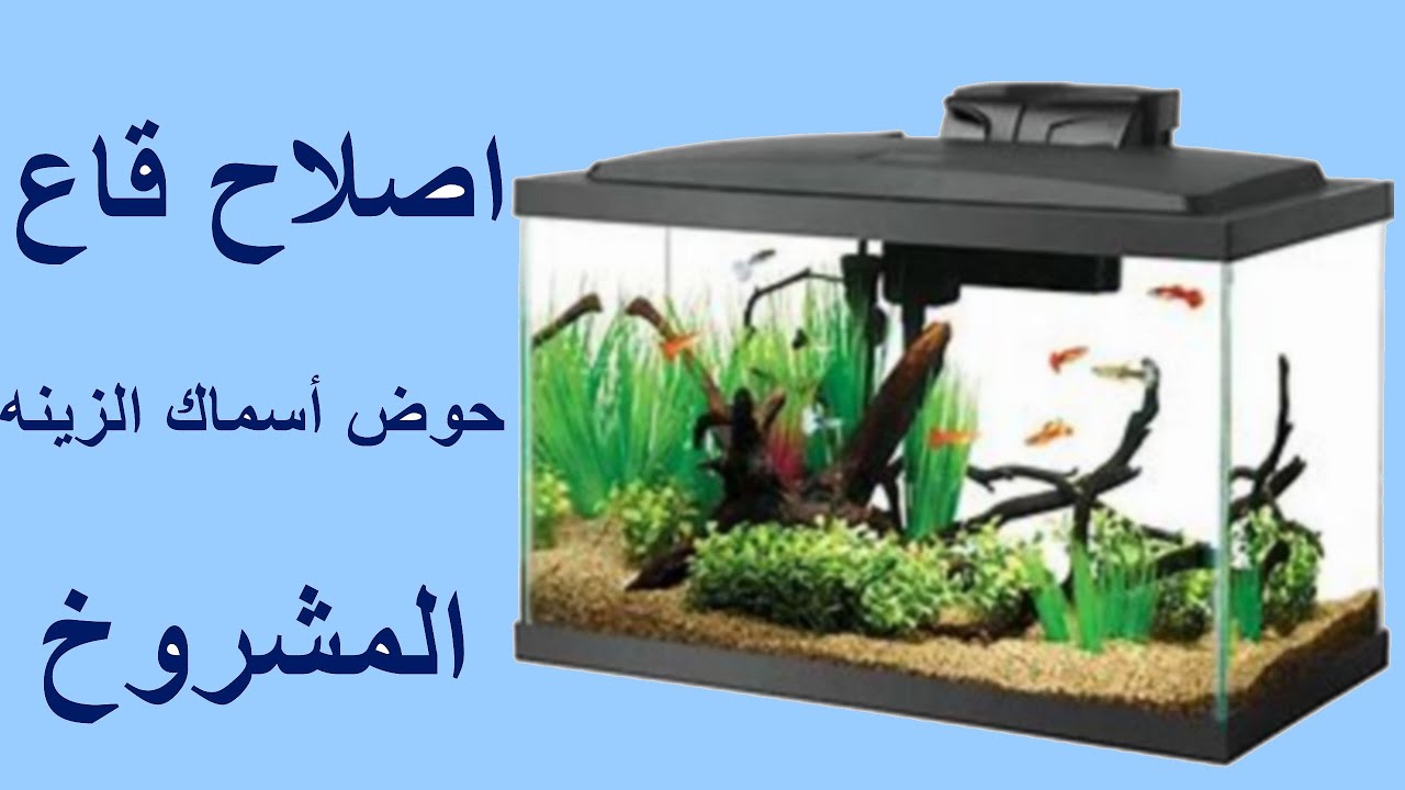 اصلاح قاع حوض اسماك الزينه المشروخ