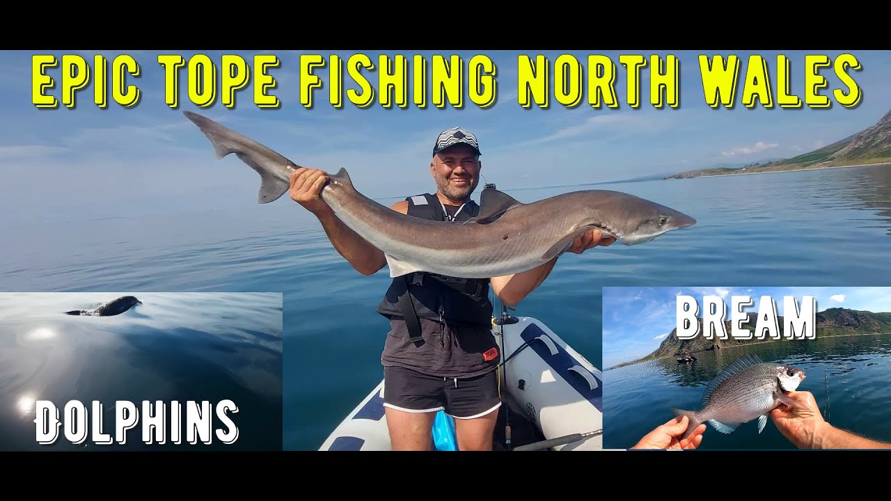 Tope Fishing on a Small Inflatable Boat in North Wales | SIB FISHING UK