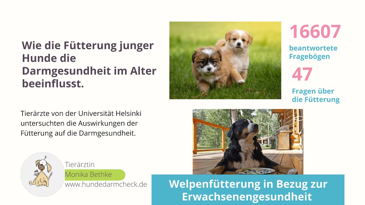 Welpenfütterung und Verdauungsprobleme im Alter - Universität Helsinki und  Tierärztin Monika Bethke