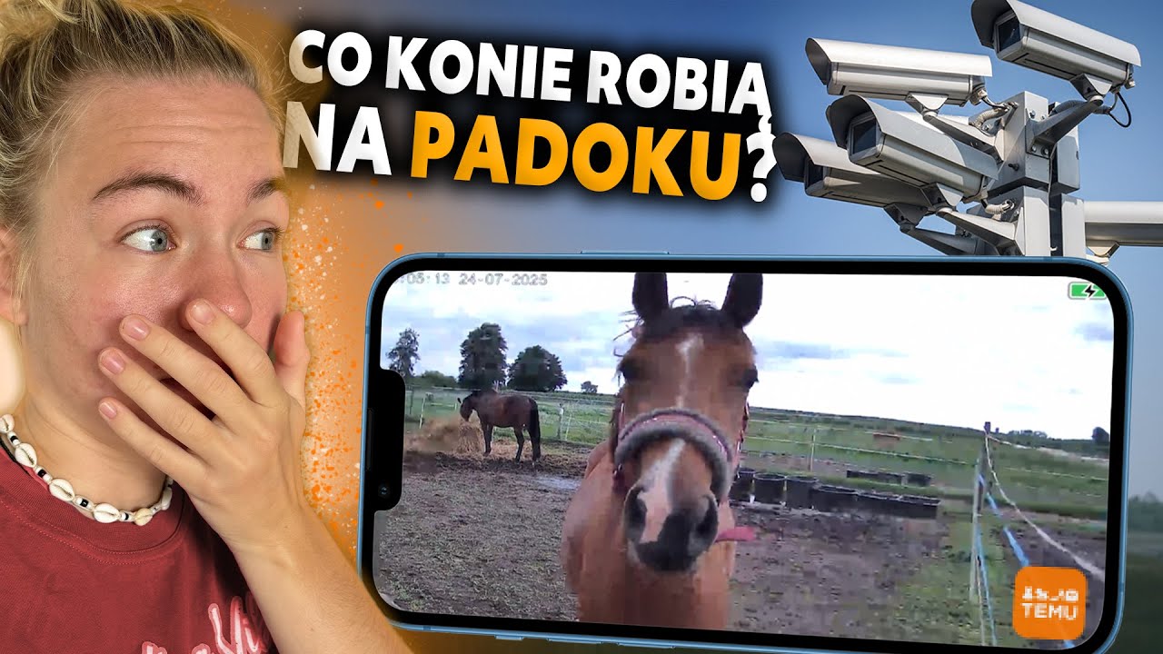 WYRYWAMY ZĄB PRIMIE | Kamera na padok z TEMU