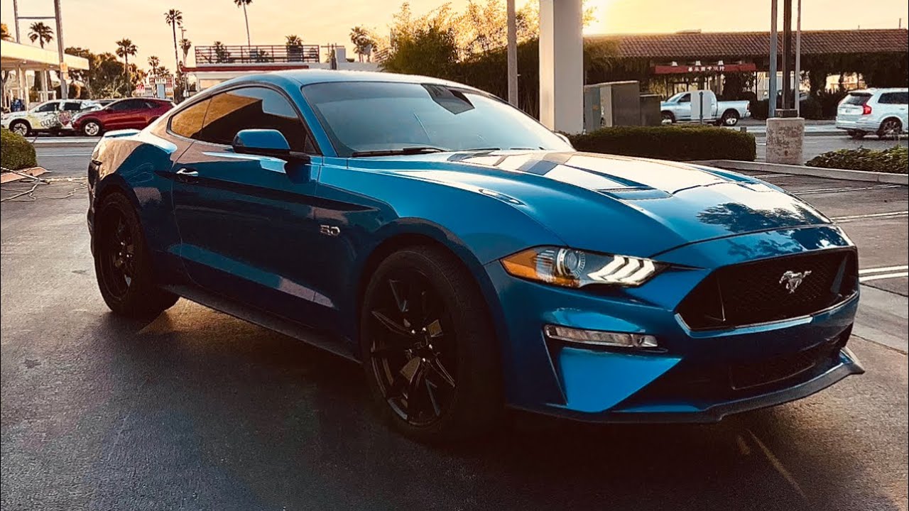 Cops pull over my new 2019 Mustang GT (State Reffed)