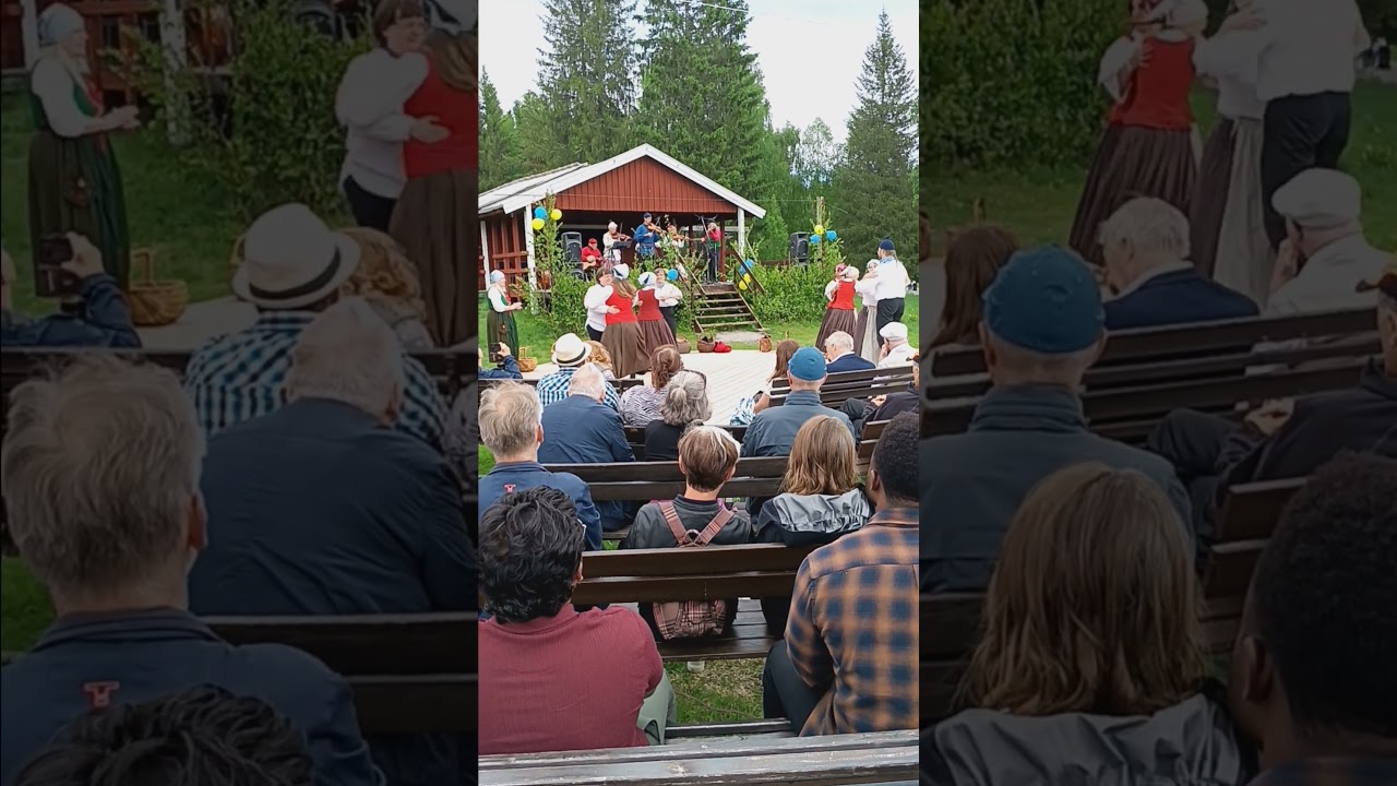 Sveriges nationaldag Svenska flaggans dag