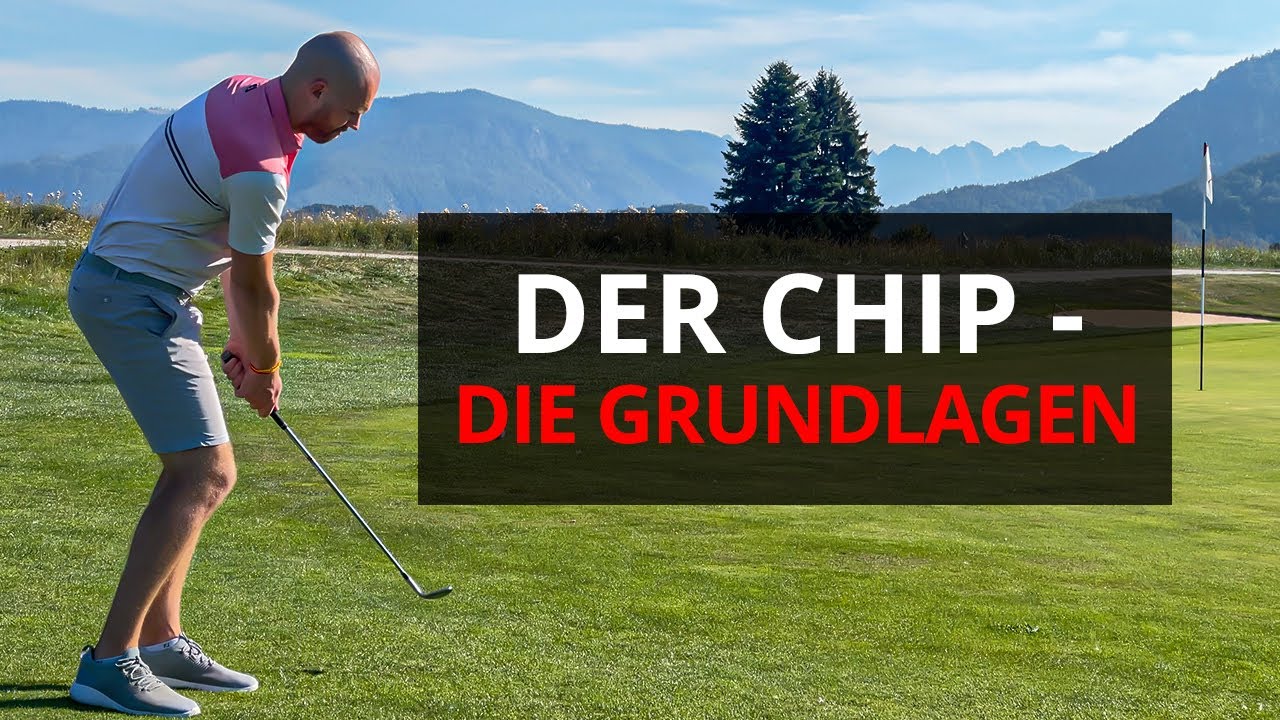 Der Chip: die Technik