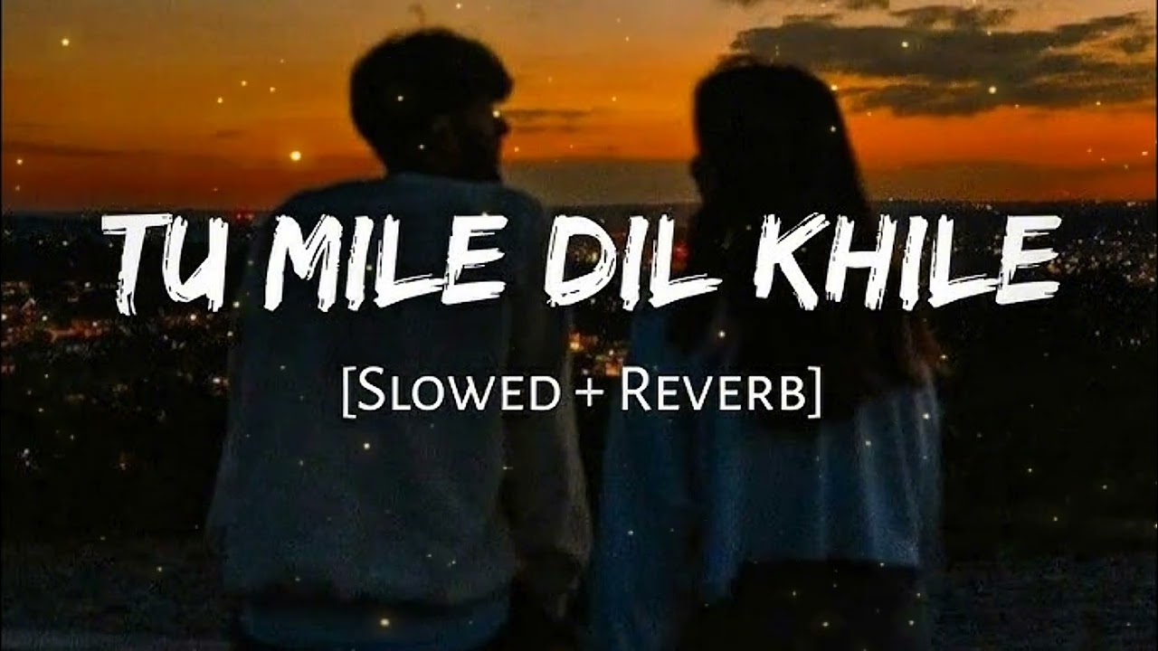 Tu  Mile  Dil khili  | Slowed reverb | Lofi Song 