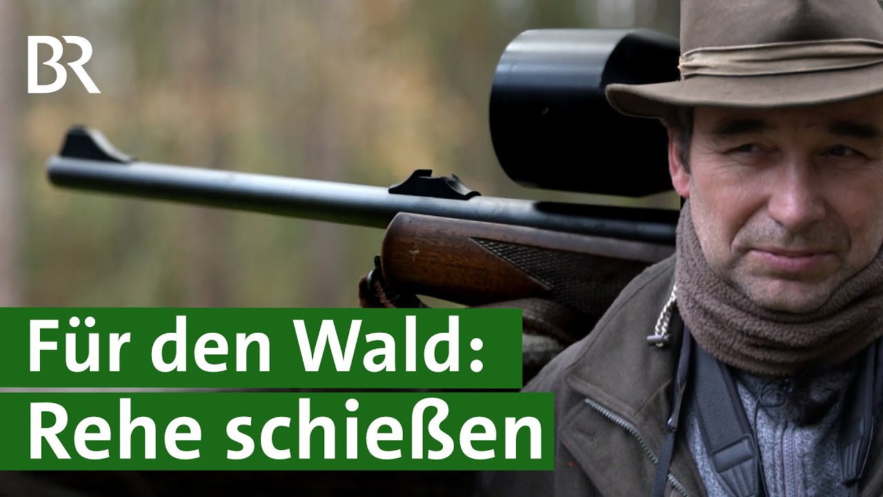 Ohne Jagd kein Wald? Rehe schie&szlig;en f&uuml;r den Naturschutz | Forst | Wald sch&uuml;tzen | Unser Land | BR