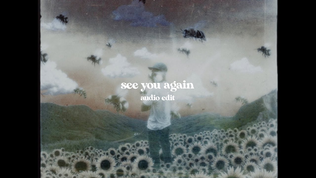» tyler, the creator - see you again ft. kali uchis (audio edit) | zaraudio