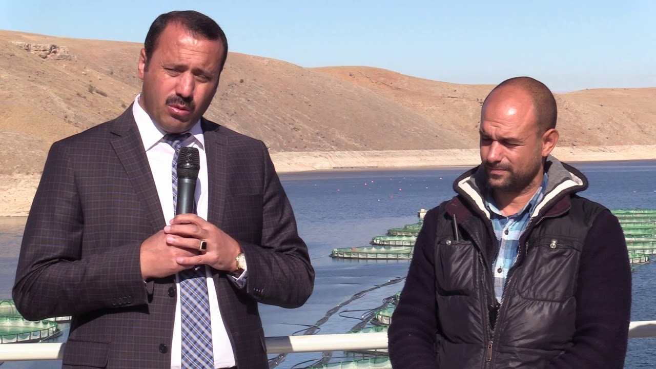 Elazığ'da Alabalığın İşlenmesi