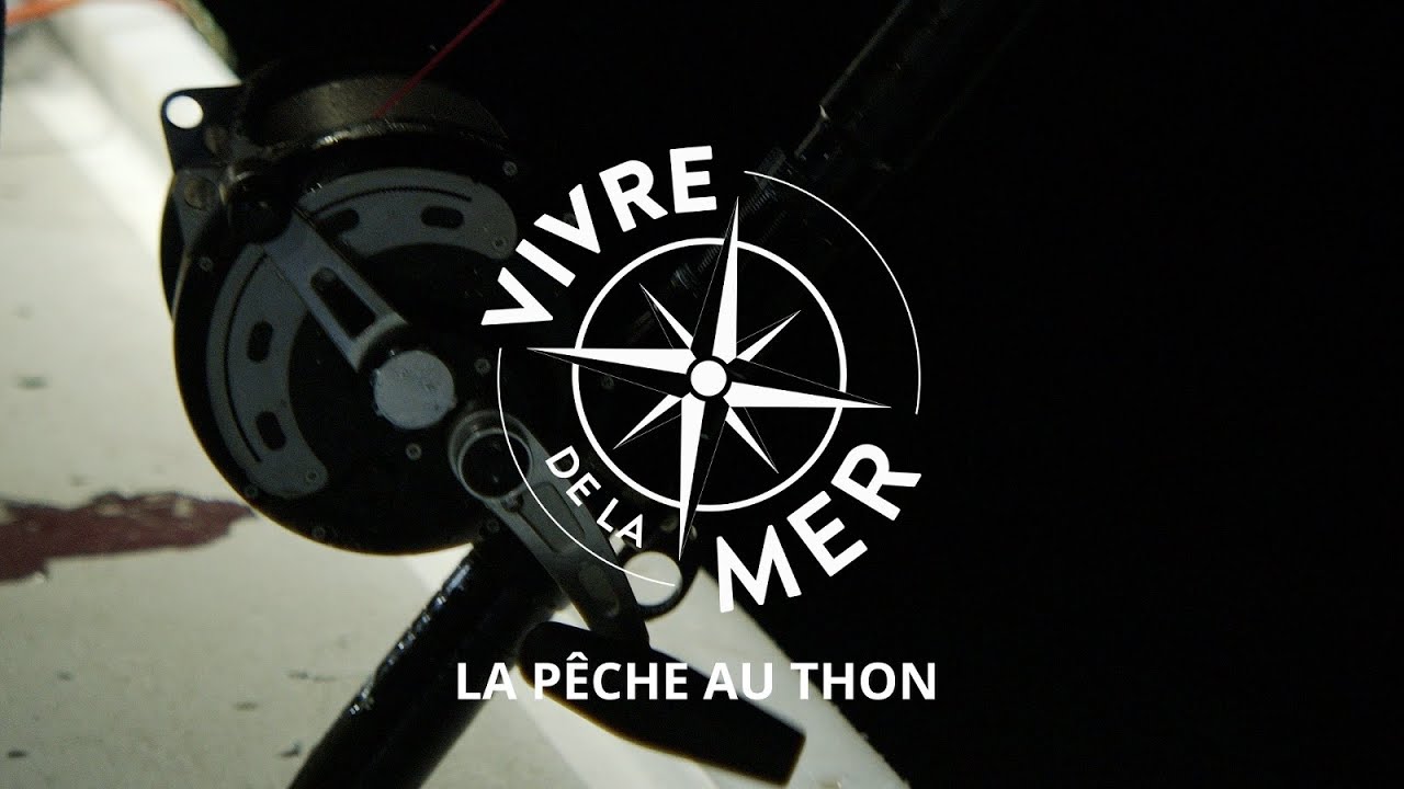 Vivre de la mer: Pêche au thon