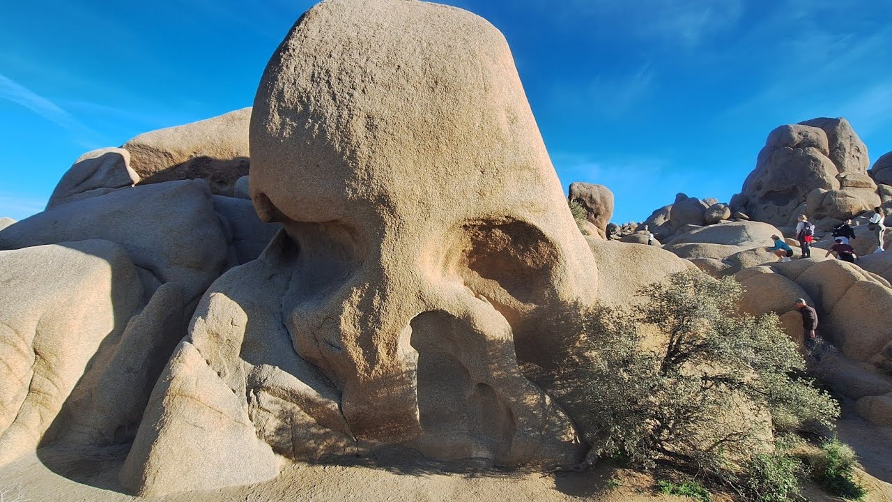 Joshua Tree NP,  Van touring America 2026, Ep. 14