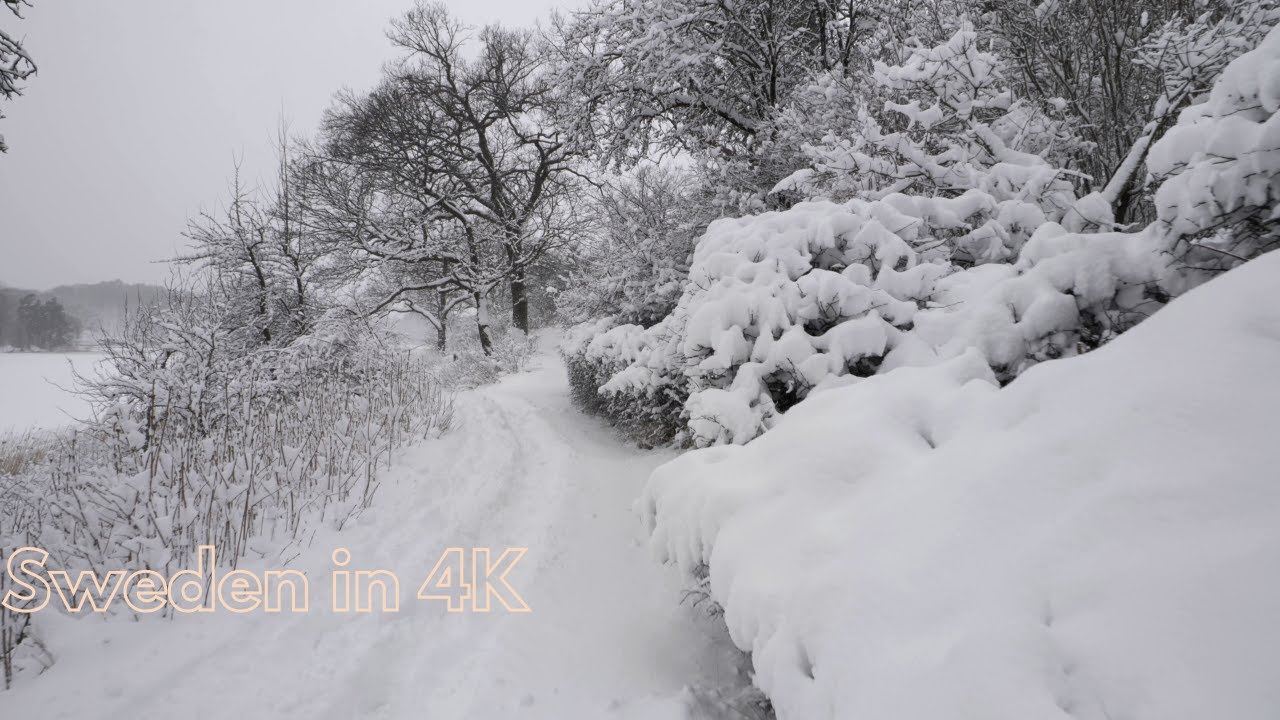 Walking the day after the snowstorm, Stockholm 2023 4k 50 fps
