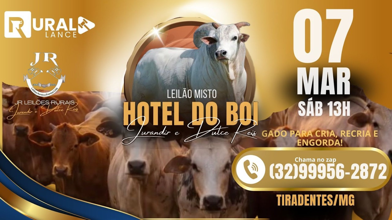 LEILÃO MISTO HOTEL DO BOI