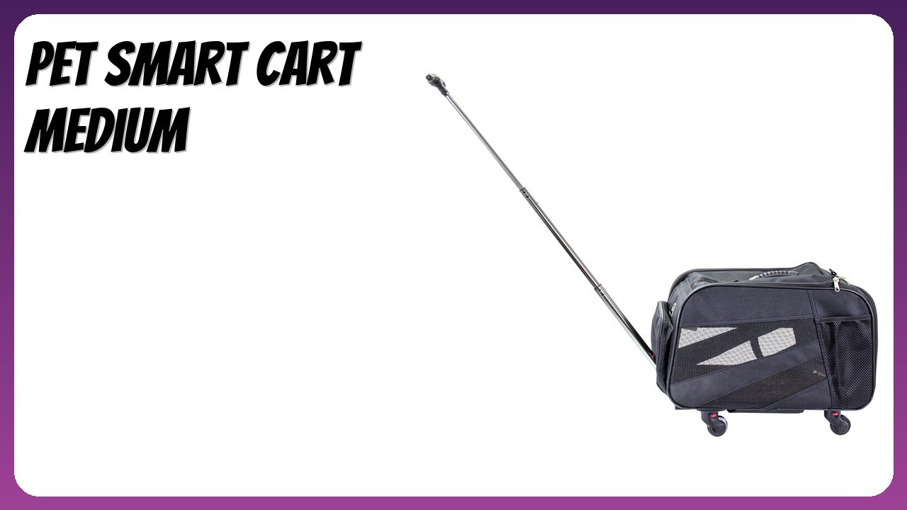 REVIEW (2026): Pet Smart Cart Medium. Features