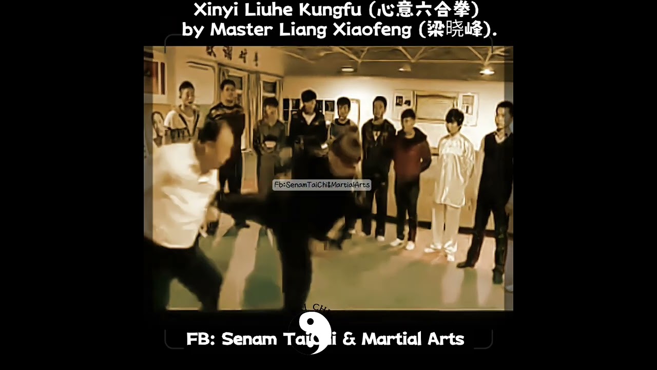 Xinyiliuhe Quan Kungfu Applications, incredible skills
