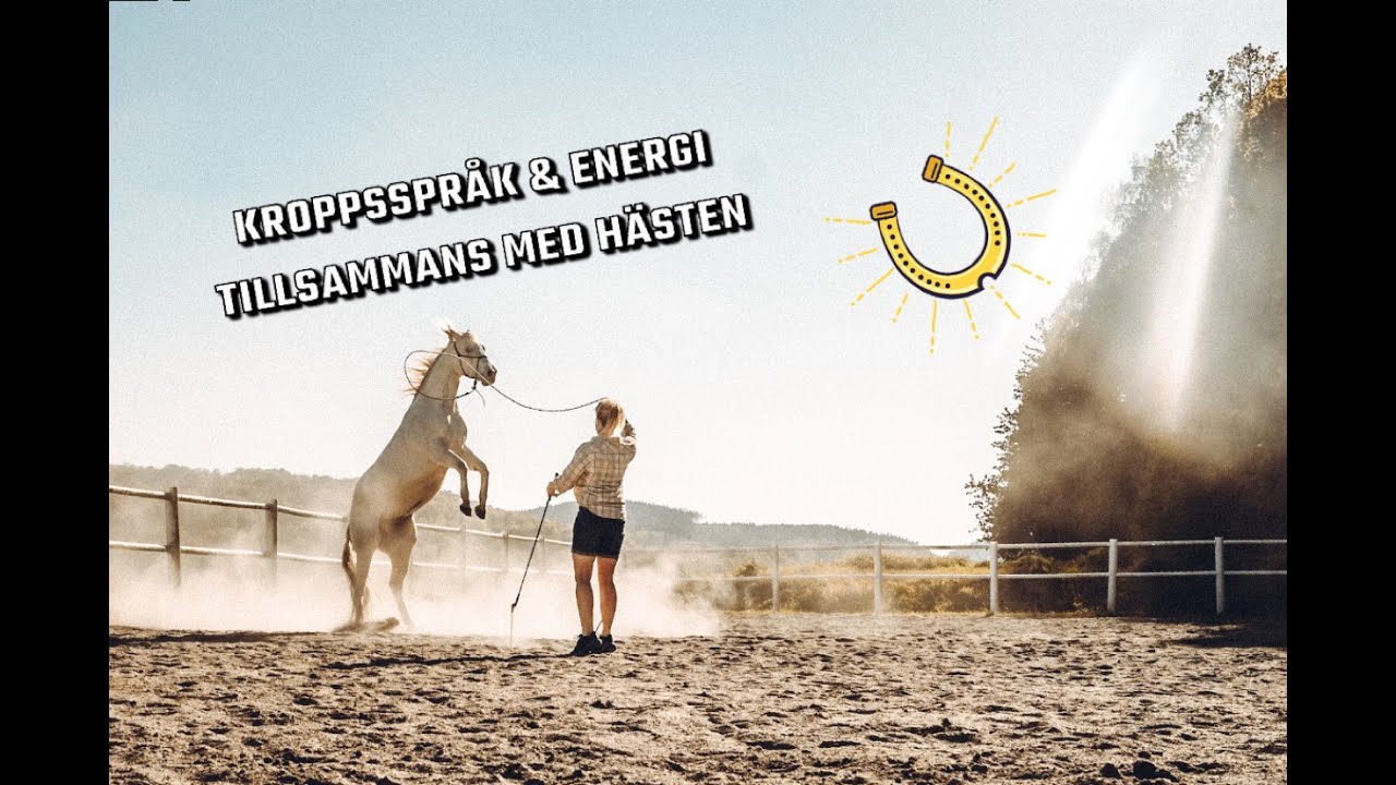 Bli medveten om ditt kroppsspråk tillsammans med hästen 😊😊