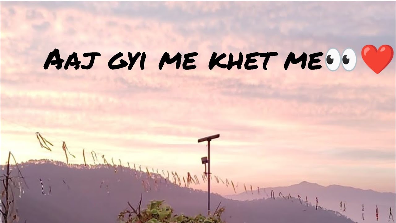 { phadi culture 🌄phado ka kam dham ❤️🤌}like comment share gys 😺