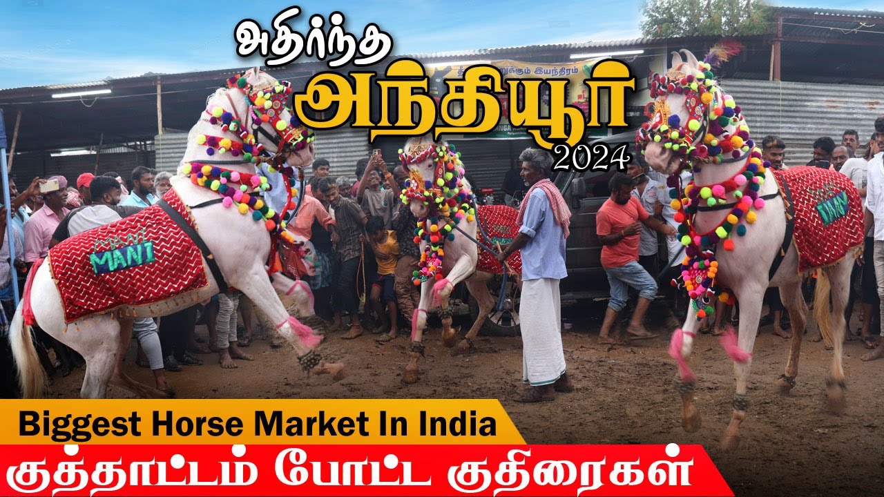 அந்தியூர் சந்தையை அலறவிட்ட குதிரைகள்| Dancing horse at anthiyur market 2024 | அந்தியூர் சந்தை