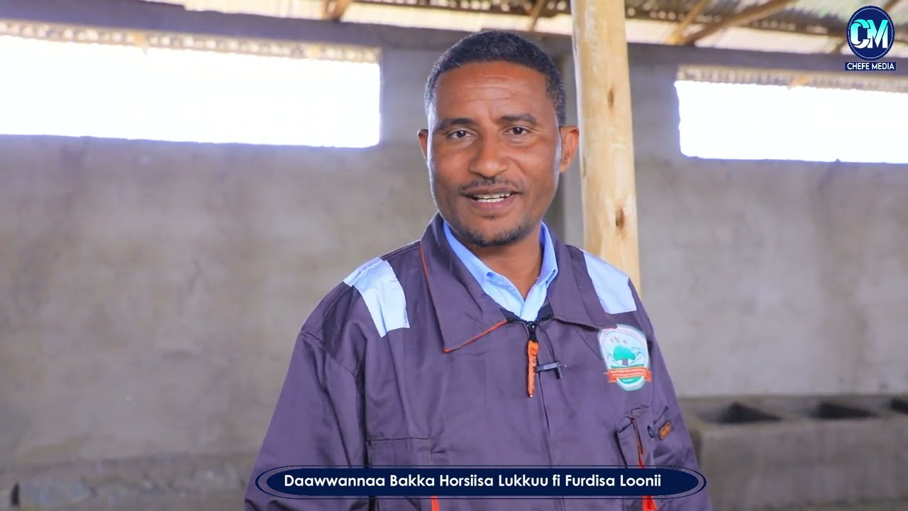 Bakka Furdisa Loonii fi Horsiisa Lukkuu Kan M/Shaggar Kutaa M/Furii A/Gadaa Faajjiitti Argamu.