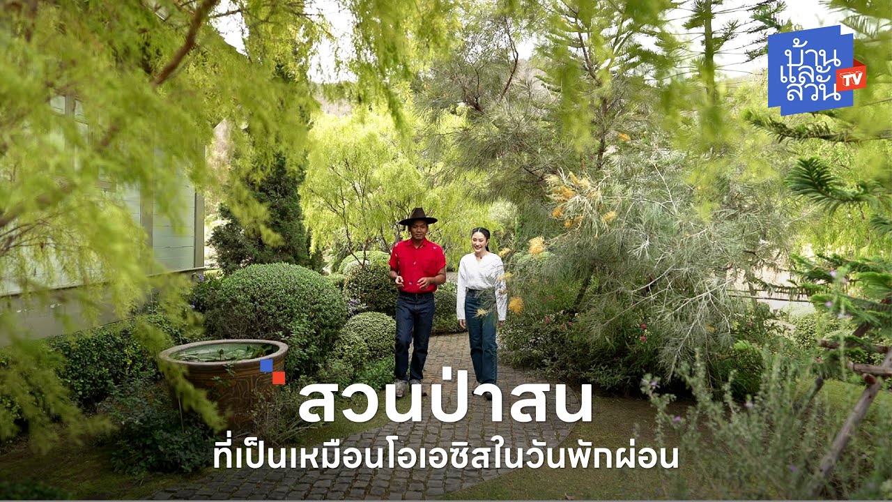 สวนในบ้านริมอ่างเก็บน้ำ ออกแบบให้เป็นเหมือนโอเอซิสที่ปกคลุมไปด้วยต้นสนชนิดต่าง ๆ | บ้านและสวนทีวี